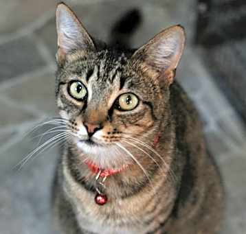 Photo of Spicy