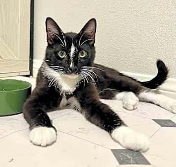 Photo of Zuli