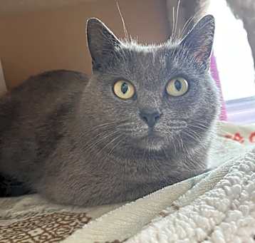 Photo of Grizelda