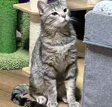 Photo of Astro