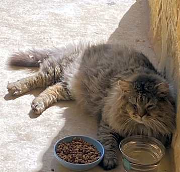 Photo of Billy Bob