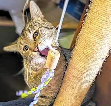 Photo of Tabitha