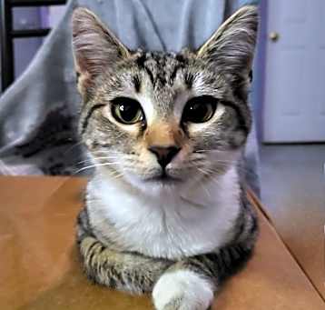 Photo of Nadia