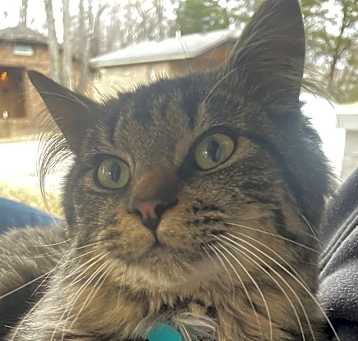 Photo of Marvin
