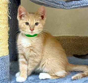Photo of Gunther