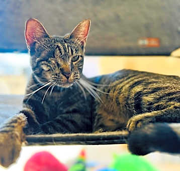 Photo of Spirit