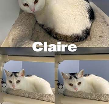 Photo of Claire