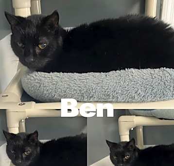 Photo of Ben