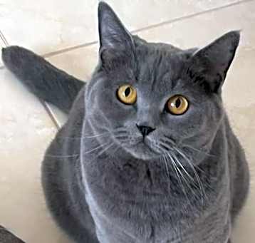 Photo of Betty