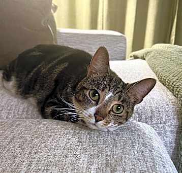 Photo of Maggie
