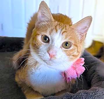 Photo of Sophie