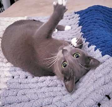 Photo of Eloise