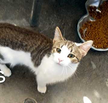 Photo of Jas