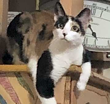 Photo of Kathy