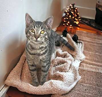 Photo of Tiny
