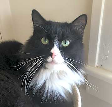 Photo of Jaxson