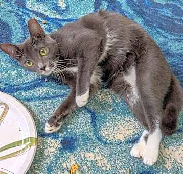 Photo of Dottie