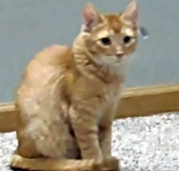 Photo of Tabberton