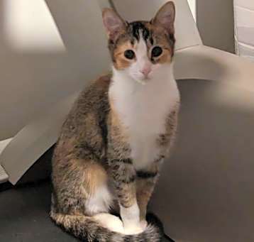 Photo of Lilith