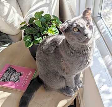Photo of Stormie