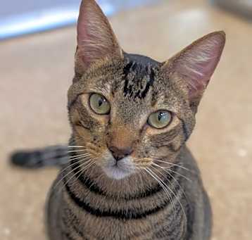 Photo of Wally
