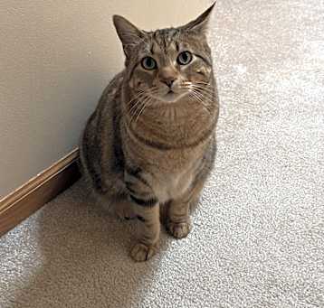Photo of Drogo