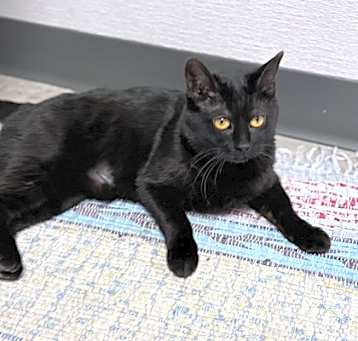 Photo of Leesa