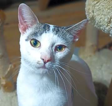 Photo of Rocket