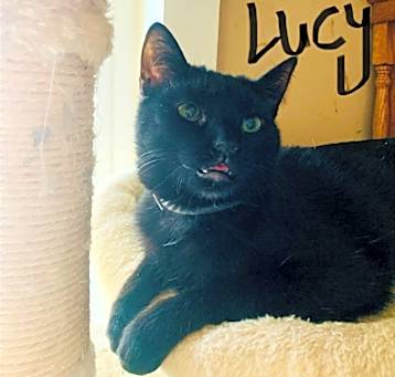 Photo of Lucy