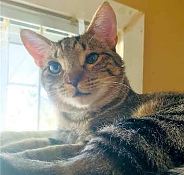 Photo of Jack