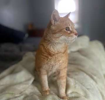 Photo of Augie