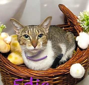 Photo of Edie