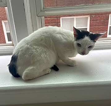 Photo of Elsa