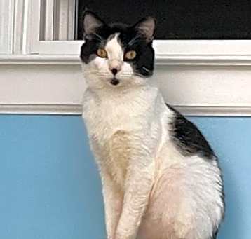 Photo of Claude