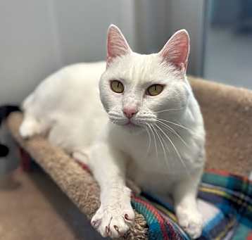 Photo of Sailor