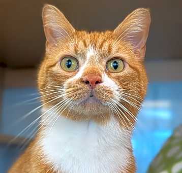 Photo of Fred