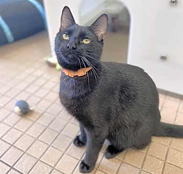 Photo of Cash