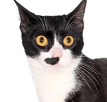 Photo of Tulaluh