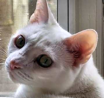 Photo of Olivia