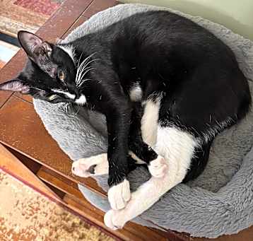 Photo of Olivia