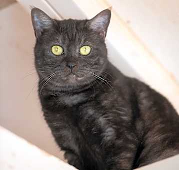 Photo of Mia