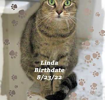 Photo of Linda