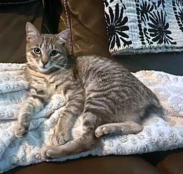 Photo of Sammy