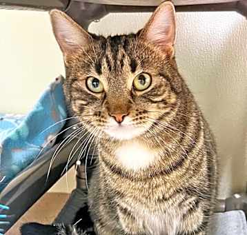 Photo of Kenan