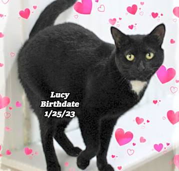 Photo of Lucy