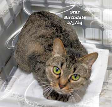 Photo of Star