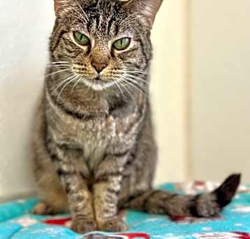 Photo of Roxie Rose