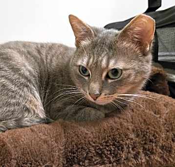 Photo of Lily Belle