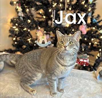 Photo of Jax & Rex