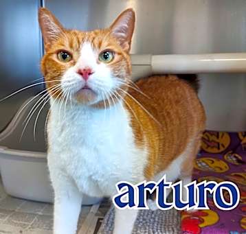 Photo of Arturo
